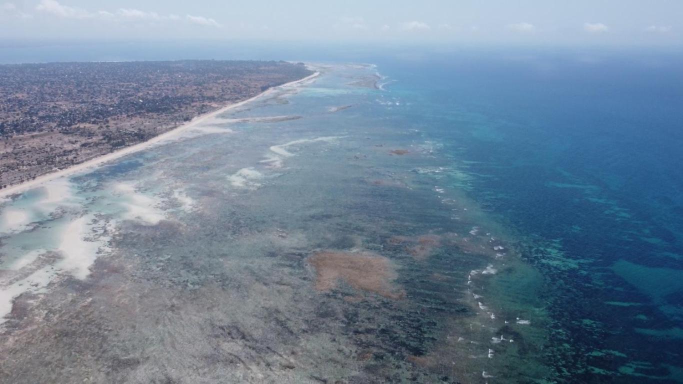 פמבה Chuiba Bay Lodge מראה חיצוני תמונה