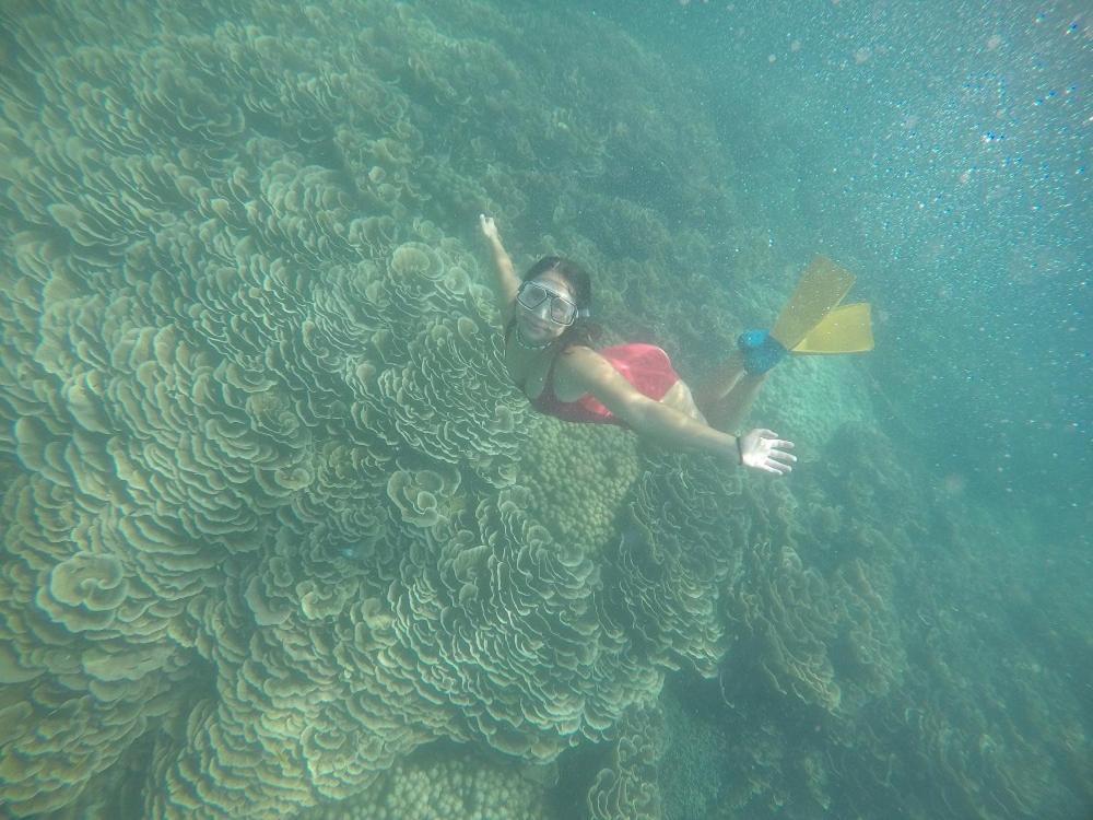 פמבה Chuiba Bay Lodge מראה חיצוני תמונה